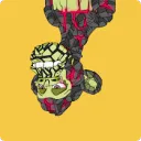 UpsideDown Mutant Apes