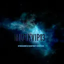 Muzikvip13's server