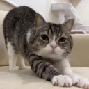 みゃみゃ