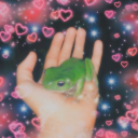 '*•.¸♡Animal City♡¸.•*'