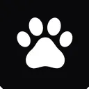 Numbed Cat Club
