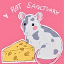 Rat Sanctuary