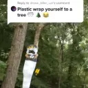 DapperVamp's Silly Server