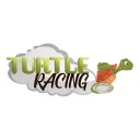 Turtle Racing NFT