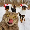 TeDablil Comunity 🍉's icon