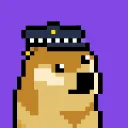 Poly DogePunks