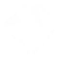 Icevision