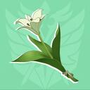 Cecilia Garden Discord Server Icon