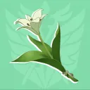 Cecilia Garden Discord Server Icon