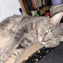 Discovery icon for Cat Island Discord server