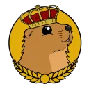 Marvelous Marmots