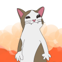 POPCAT NFT
