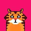 tigerbeing