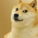 the land of jig and doges