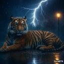 🐅-Tigers-🐅