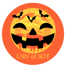 Discovery icon for The United States Navy SoT Discord server