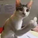 ᴛᴀᴜʀᴜꜱᴘʀɪɴᴄᴇꜱꜱxᴏ'ꜱ ꜱᴇʀᴠᴇʀ