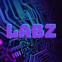 👾Labz
