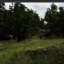 Survival