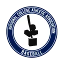 NCAA Baseball Revamped