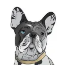 Frenchies NFT