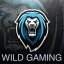 Wild Gaming