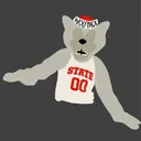 NCSU Anthro Society