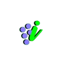 iGrape /- O impossível se torna possível!