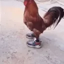 Javichuy Gang