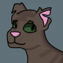 night and day - warrior cats roleplay