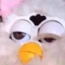 Joycetick