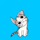 Cat adventures