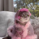 - kittyz hat