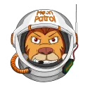 🚀 LL Moon  Patrol 🚀