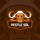 PESTLE SOL