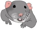Rattery Chat