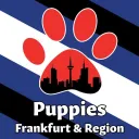 Puppies Frankfurt & Region