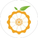 Orange Pi