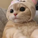 ✧☽ ᴛʜᴇ ʙᴀꜱᴇᴍᴇɴᴛ ☾✧