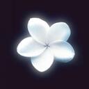 After Dark Discord Server Icon