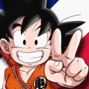Dragon Ball FR