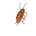 temerity , lounge and hangout Server Icon