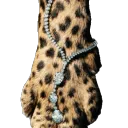 ꒰🐆🦴꒱﹒ 𝑟𝑎𝑤𝑟𓂃 . 𐑞 𝒈𝒖𝒊𝒍𝒅 . 𝒆𝒎𝒐𝒋𝒊𝒔 . 𝒅𝒆𝒄𝒐𝒓﹒𓏵 🐾