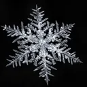 Operation Snowflake