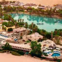 Rom's Oasis