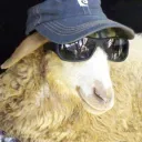 Herdy λ Flockers