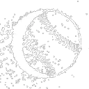 Moonshot Sports