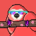 Sleepy Sloth's NFT's