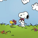 ᴊᴅʙᴛᴏᴄ ༄࿐ Discord server icon