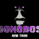 BONOBOS new tribe